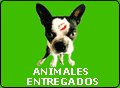 Animales Entregados